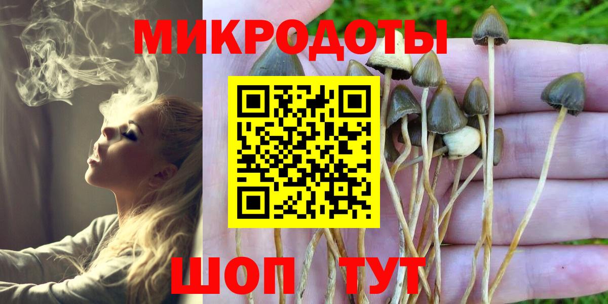 Псилоцибиновые грибы Magic Shrooms Назарово