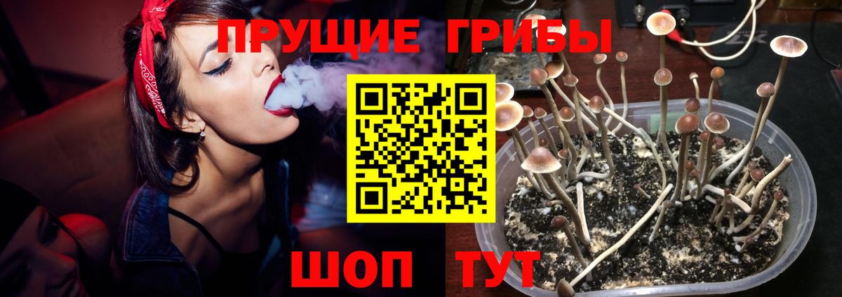 Галлюциногенные грибы мухоморы  Вход с VPN  Псилоцибиновые грибы Psilocybe  Назарово 